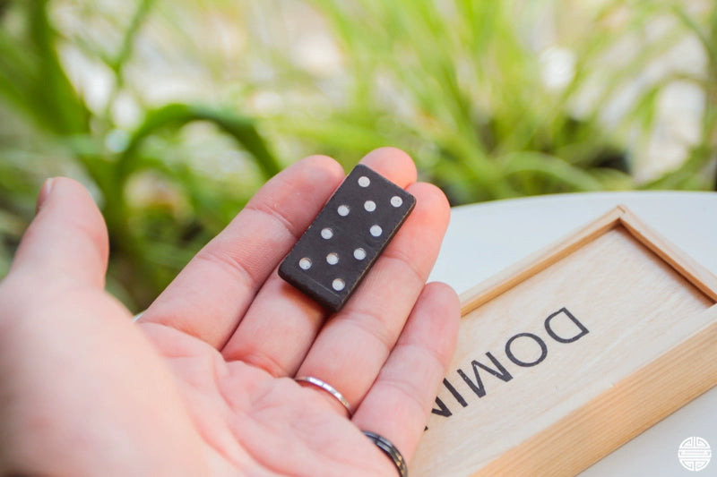 Boxed Black Table Game Gift Dominoes